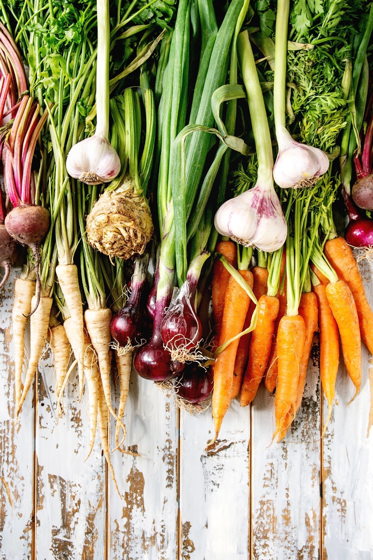 variety-of-root-vegetables-5VH8T76.jpg